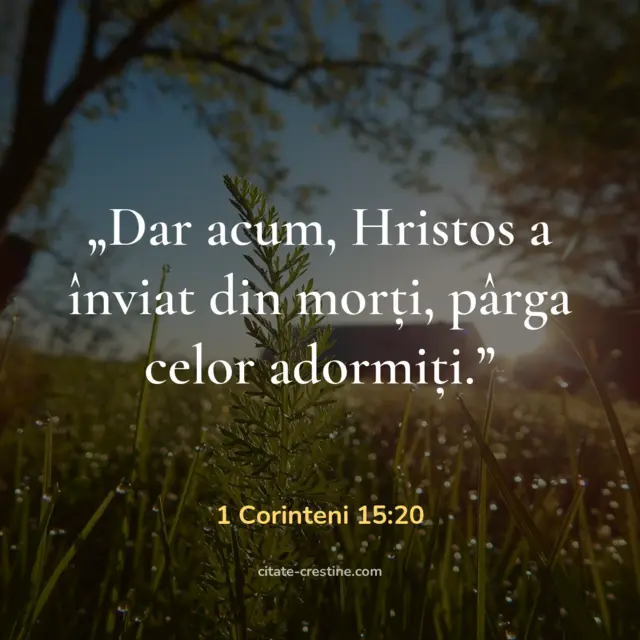 „Dar acum, Hristos a înviat din morți, pârga celor adormiți.” — 1 Corinteni 15:20