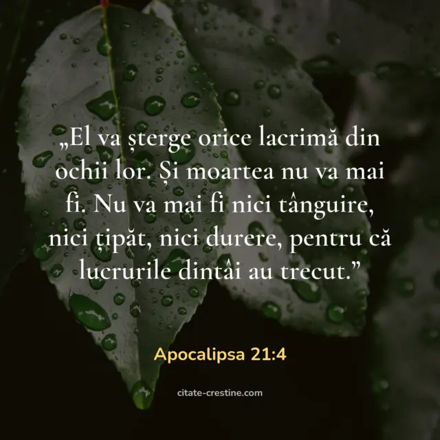 „El va șterge orice lacrimă din ochii lor. Și moartea nu va mai fi. Nu va mai fi nici tânguire, nici țipăt, nici durere, pentru că lucrurile dintâi au trecut.” — Apocalipsa 21:4