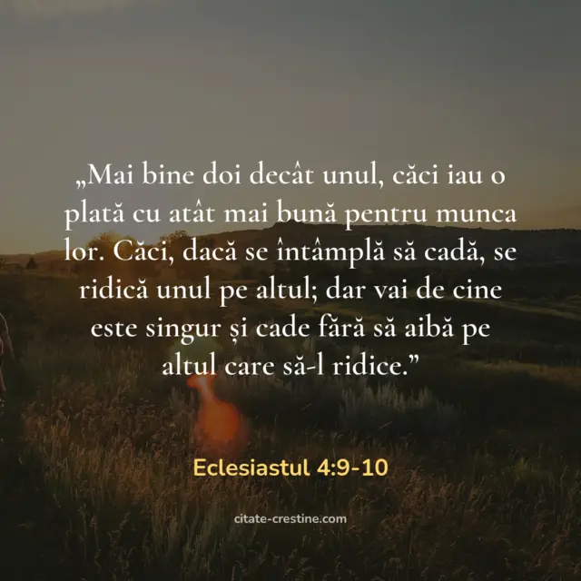 „Mai bine doi decât unul, căci iau o plată cu atât mai bună pentru munca lor. Căci, dacă se întâmplă să cadă, se ridică unul pe altul; dar vai de cine este singur și cade fără să aibă pe altul care să-l ridice.” — Eclesiastul 4:9-10