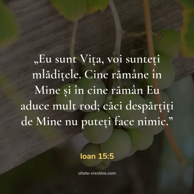 „Eu sunt Vița, voi sunteți mlădițele. Cine rămâne în Mine și în cine rămân Eu aduce mult rod; căci despărțiți de Mine nu puteți face nimic.” — Ioan 15:5