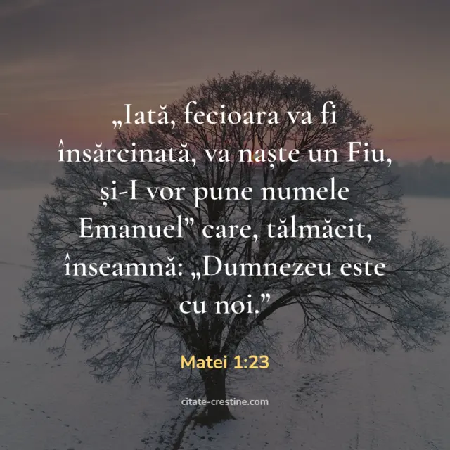 „„Iată, fecioara va fi însărcinată, va naște un Fiu, și-I vor pune numele Emanuel” care, tălmăcit, înseamnă: „Dumnezeu este cu noi.”” — Matei 1:23