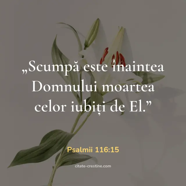 „Scumpă este înaintea Domnului moartea celor iubiți de El.” — Psalmii 116:15
