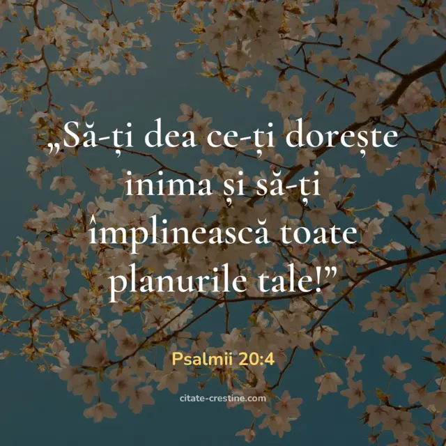 „Să-ți dea ce-ți dorește inima și să-ți împlinească toate planurile tale!” — Psalmii 20:4